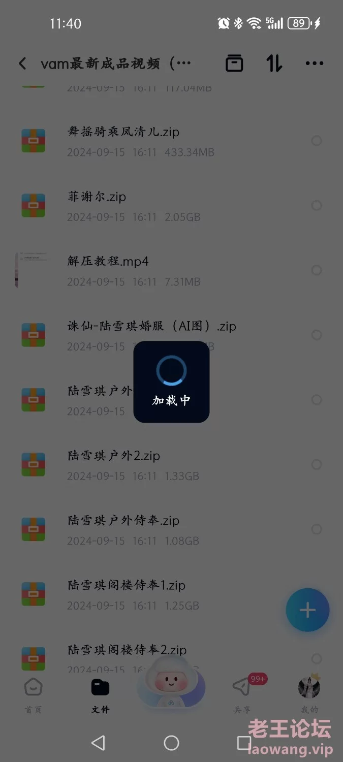 Screenshot_20240915_234023_com.baidu.netdisk.jpg